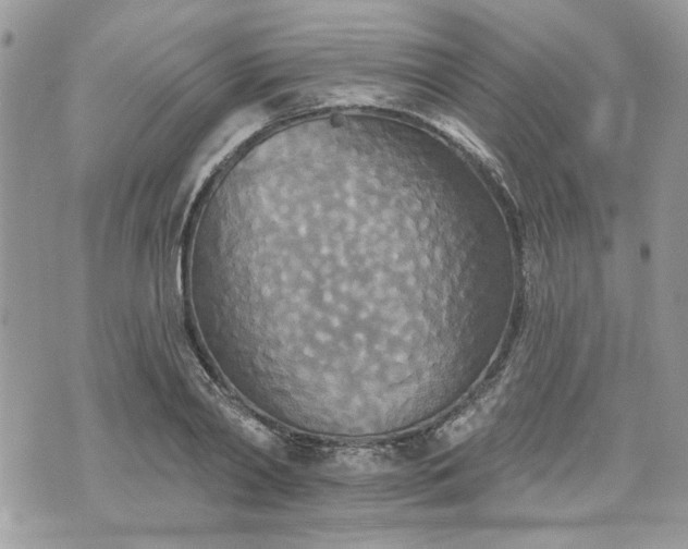 X0000070360790200606161250