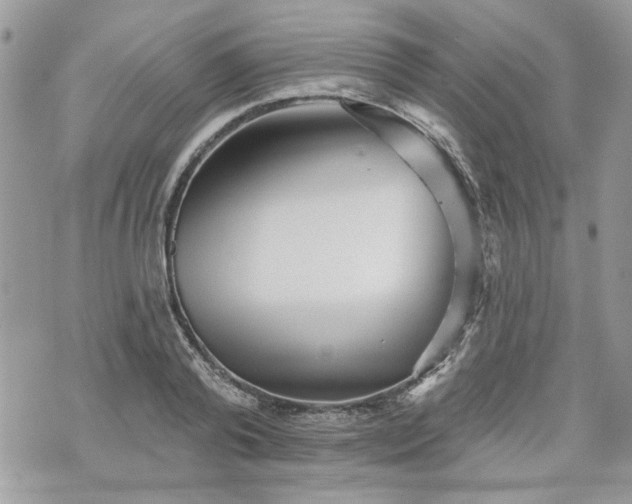 X0000070360792200606161250