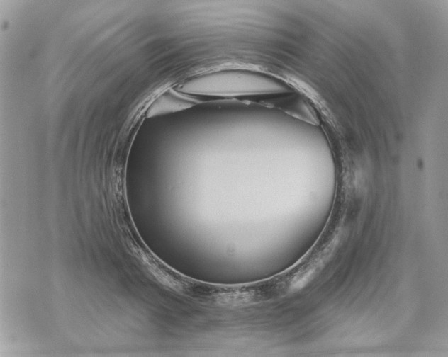 X0000070360793200606161250