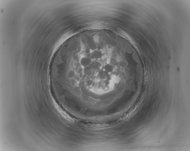 X0000070360795200606161250