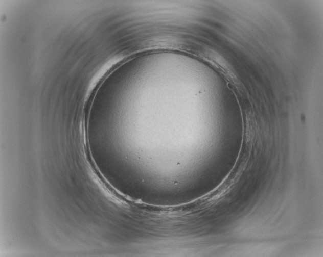 X0000070360796200606161250