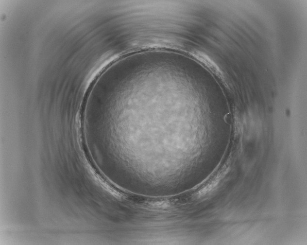 X0000070360798200606161250