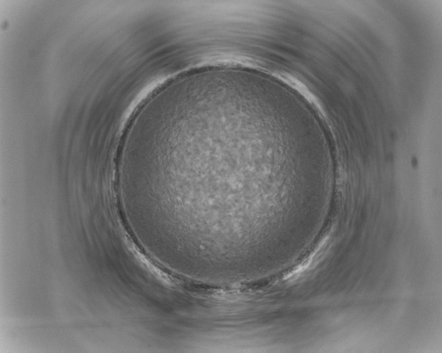 X0000070360799200606161250