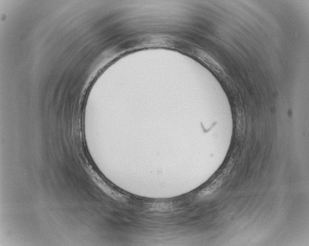 X0000070360800200606161250