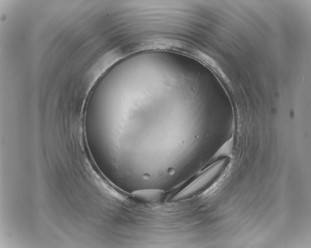 X0000070360802200606161250