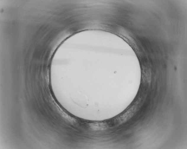 X0000070360804200606161250