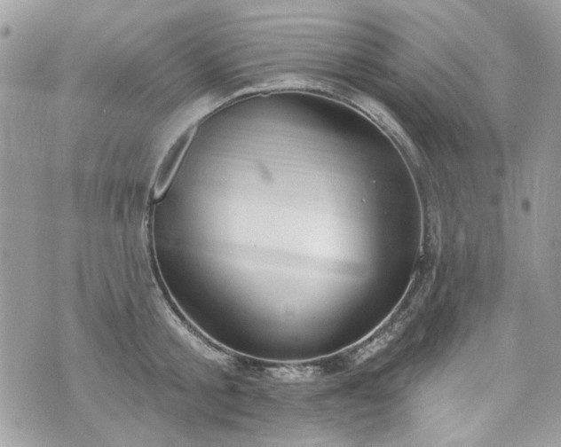 X0000070360805200606161250