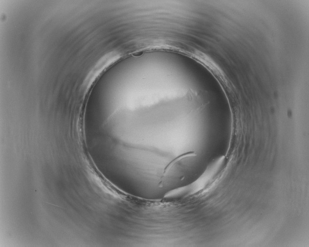 X0000070360806200606161250