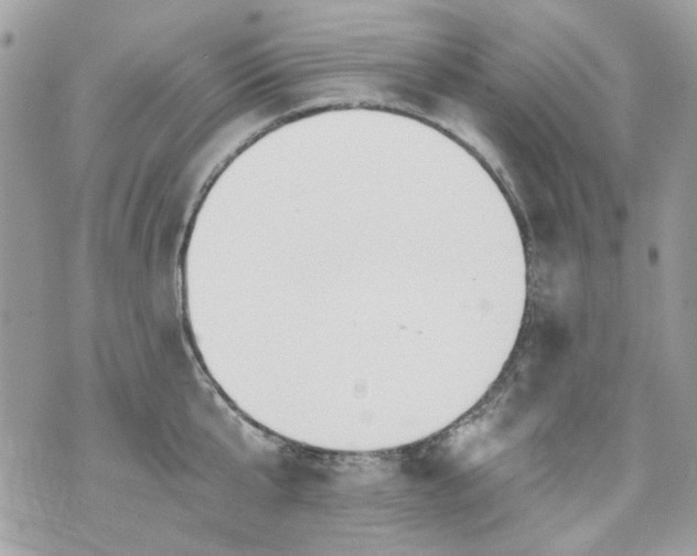 X0000070360807200606161250