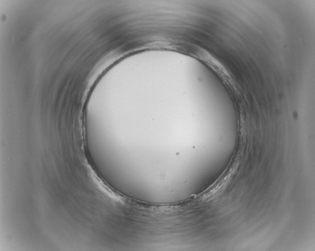 X0000070360808200606161250