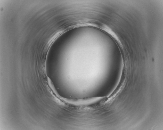 X0000070360809200606161250