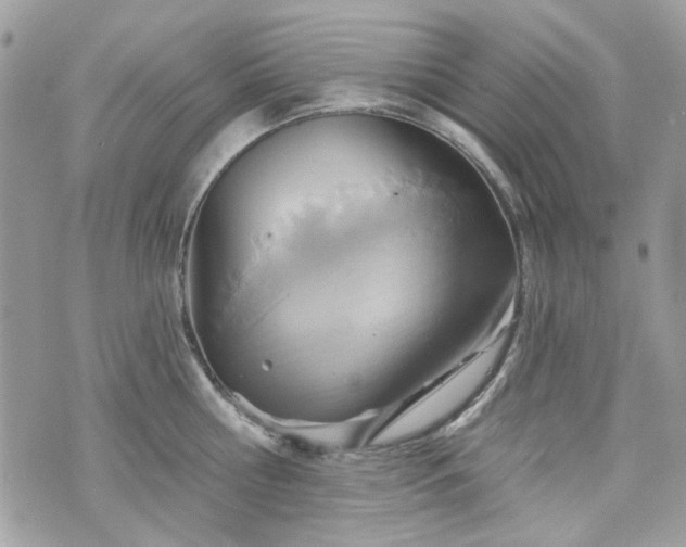 X0000070360810200606161250