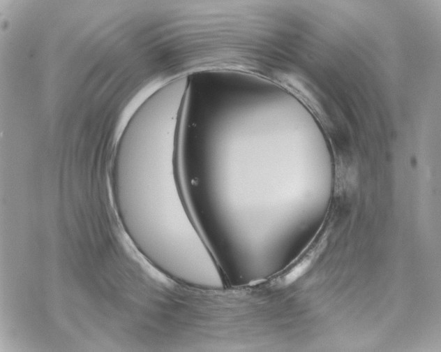 X0000070360812200606161250