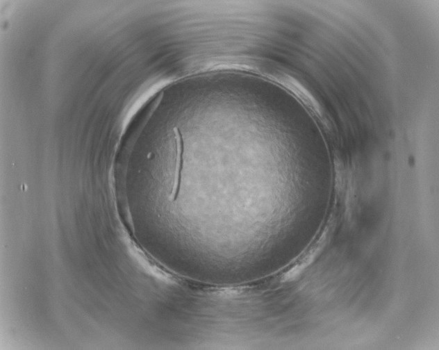 X0000070360814200606161250