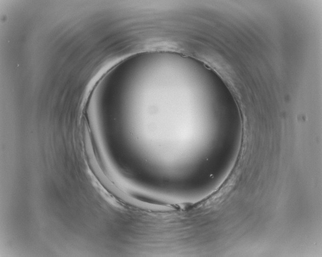 X0000070360816200606161250