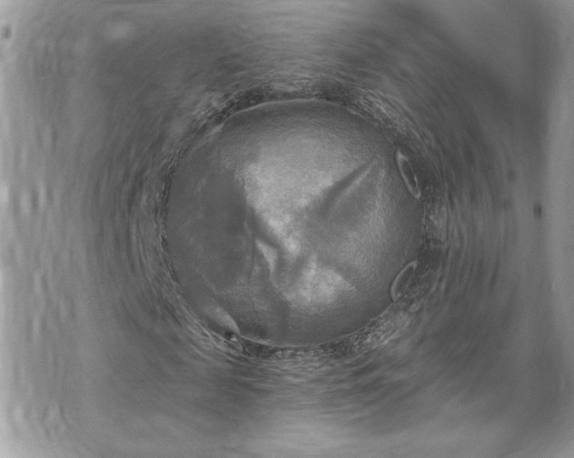 X0000070360817200606161249