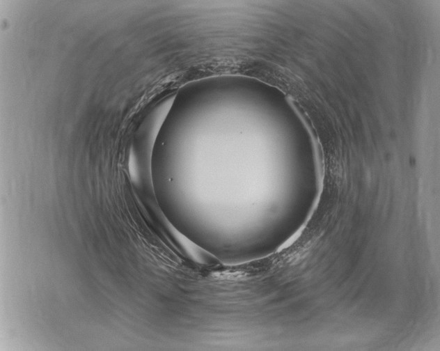 X0000070360818200606161249