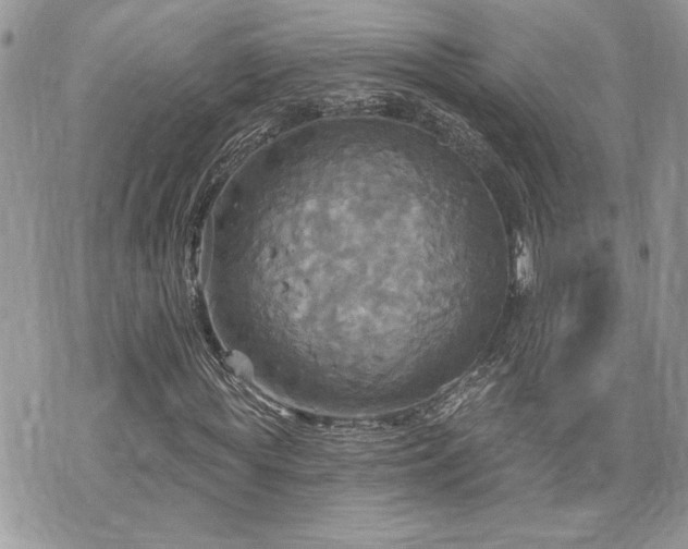 X0000070360819200606161249