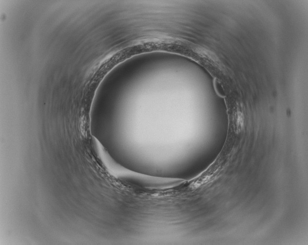 X0000070360822200606161249