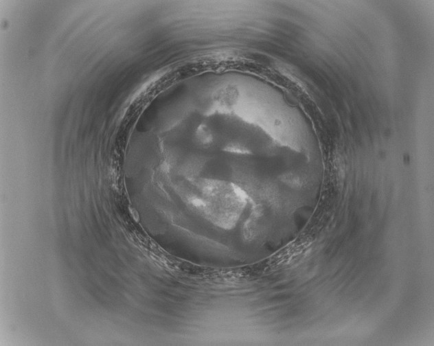 X0000070360823200606161249