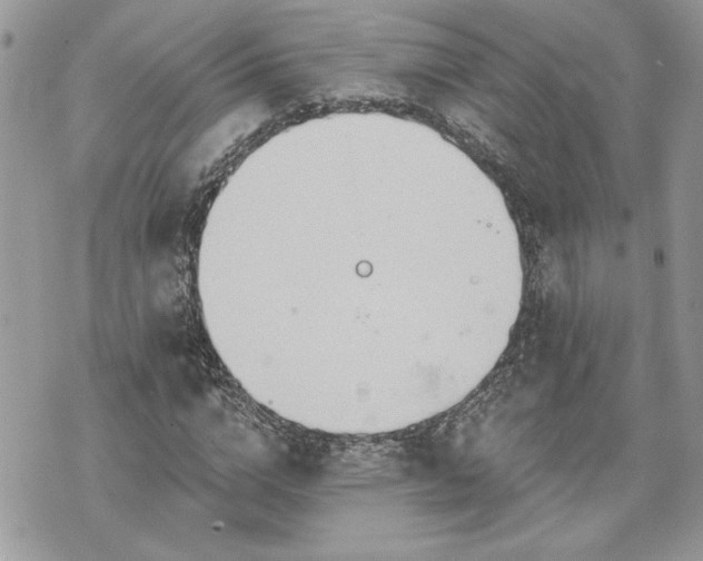 X0000070360824200606161249