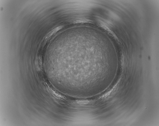 X0000070360825200606161249