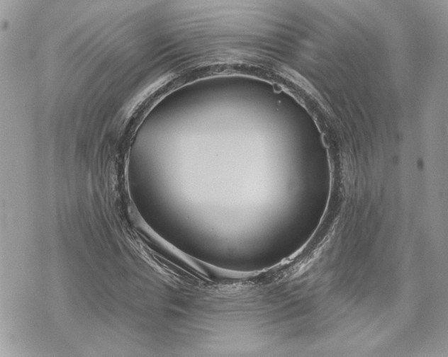 X0000070360826200606161249