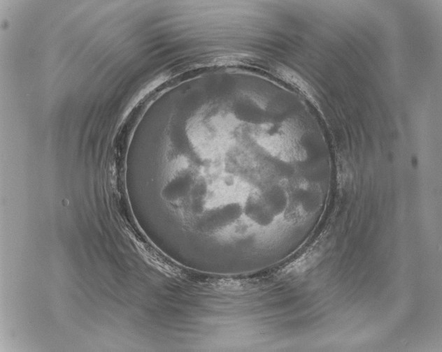 X0000070360827200606161249