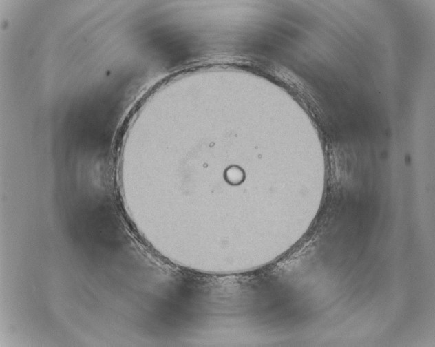 X0000070360828200606161249