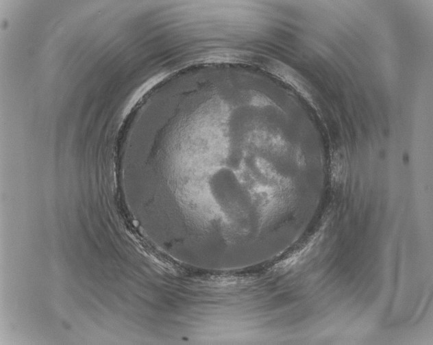 X0000070360829200606161249