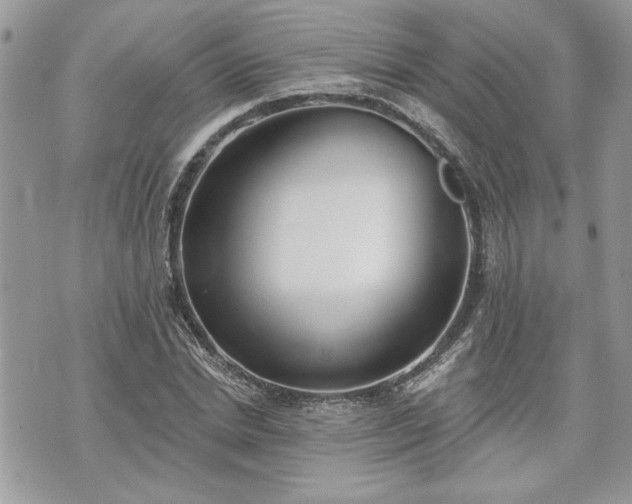 X0000070360830200606161249