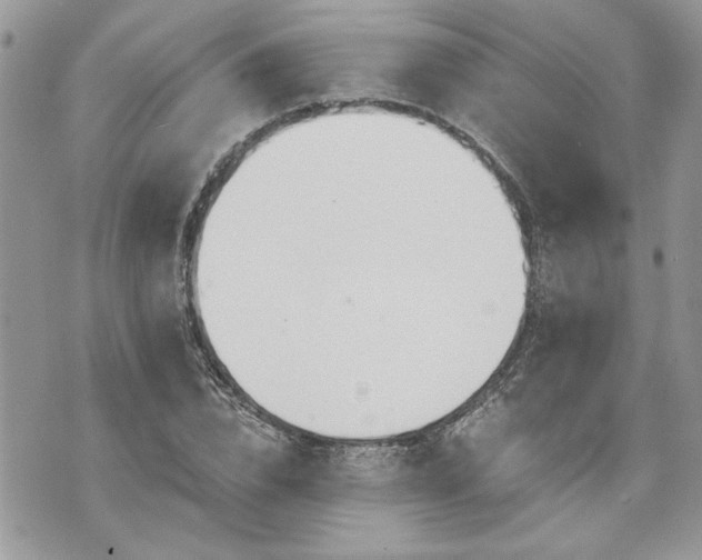 X0000070360832200606161249