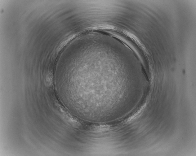 X0000070360833200606161249