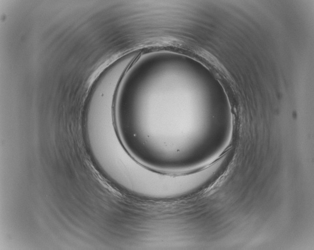 X0000070360834200606161249