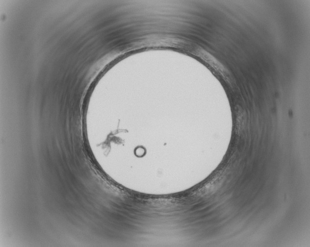 X0000070360836200606161249