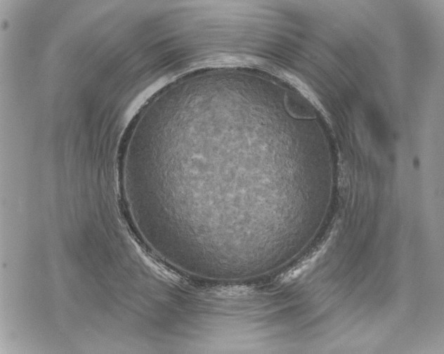 X0000070360837200606161249