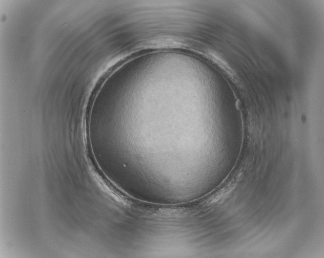 X0000070360840200606161249