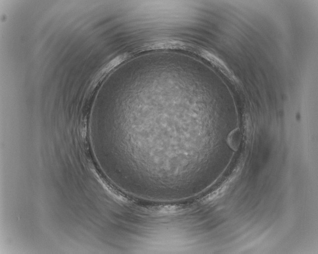 X0000070360841200606161249