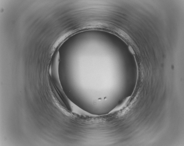 X0000070360842200606161249