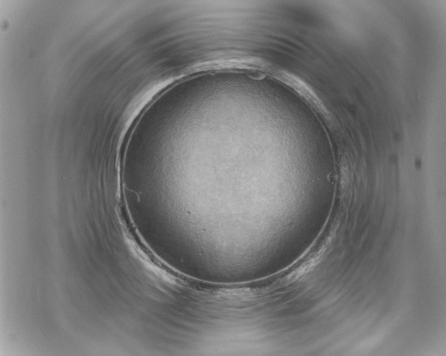 X0000070360844200606161250