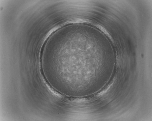 X0000070360845200606161250