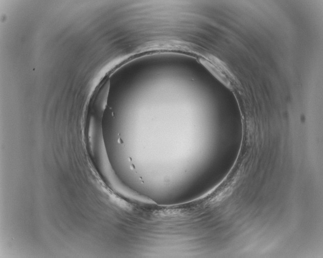 X0000070360846200606161250