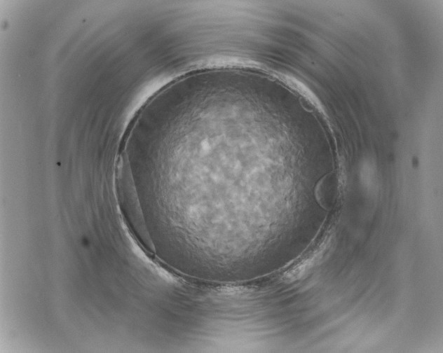 X0000070360847200606161250