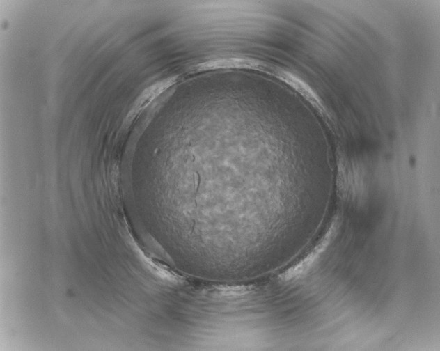 X0000070360849200606161250