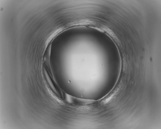 X0000070360850200606161250