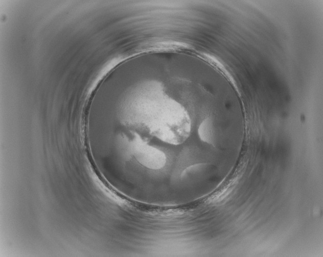 X0000070360851200606161250