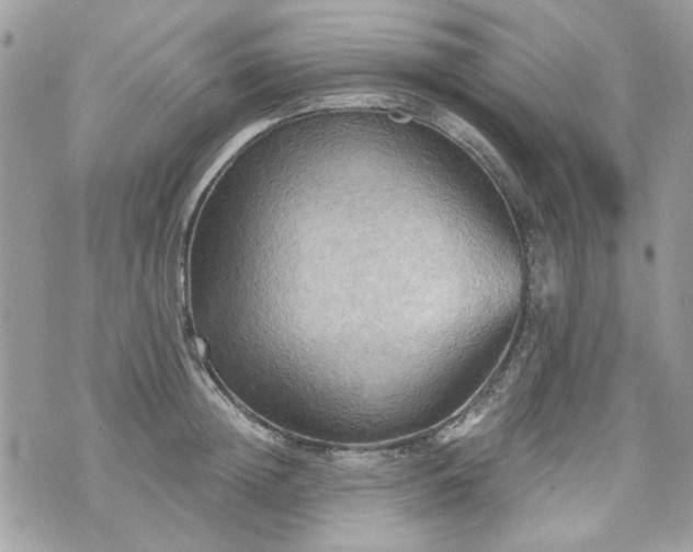 X0000070360852200606161250