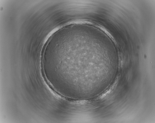 X0000070360853200606161250