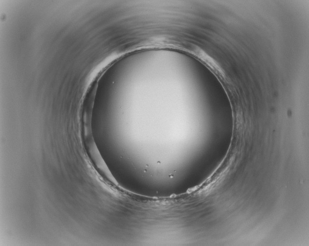 X0000070360854200606161250