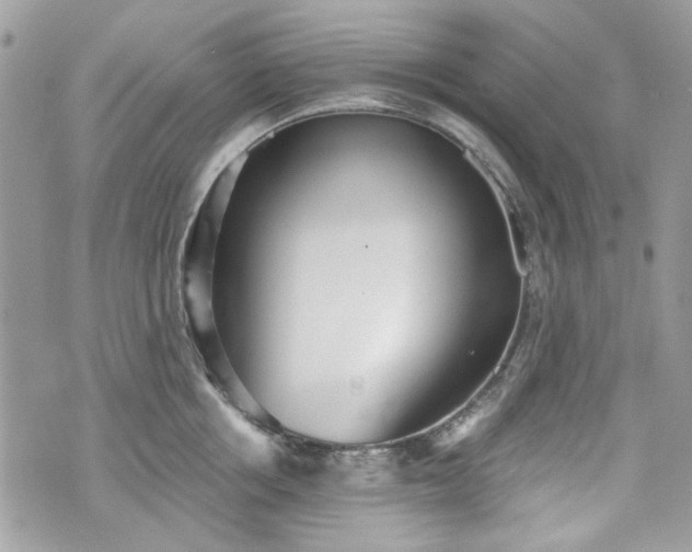 X0000070360858200606161250